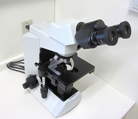 皮膚科・アレルギー科